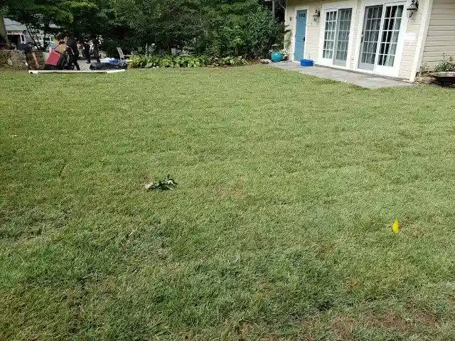 Residential Pool Removal in Dallas - After