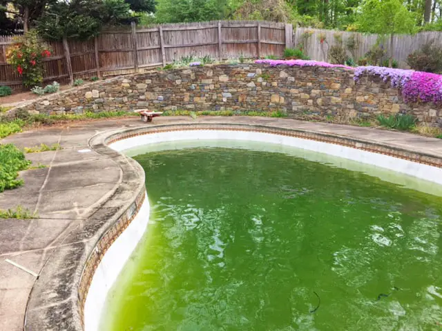 Pool Demolition Project - Inground Pool Removal - Dallas Fort-Worth - Before